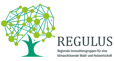 Logo des REGULUS-Projektes