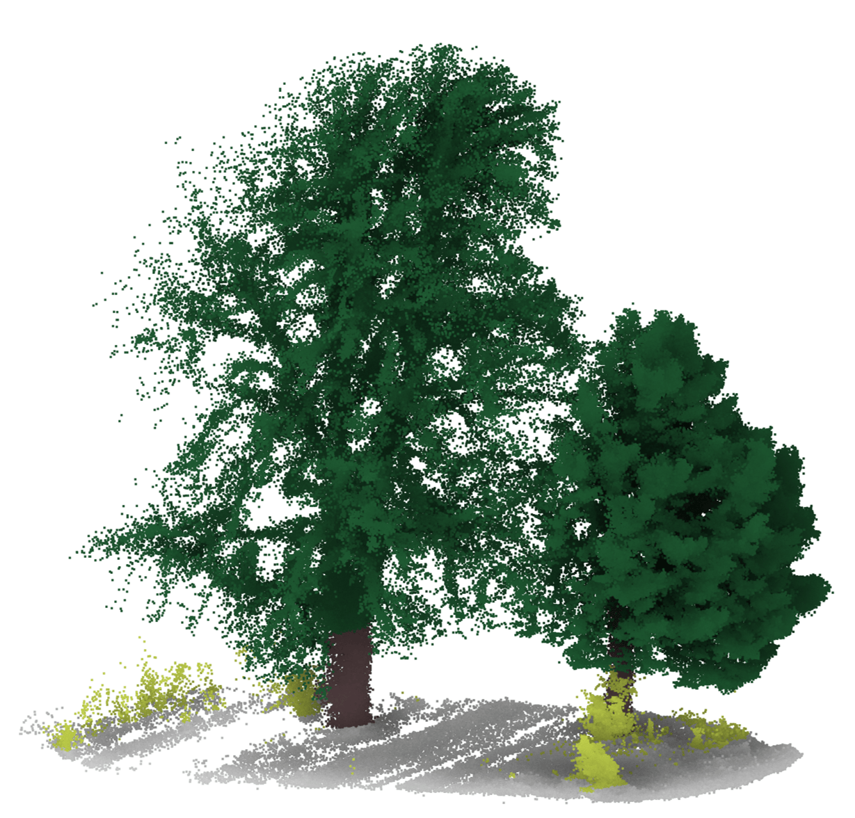 3D Punktwolke eines Waldgebietes nach einer semantischen Segmentierung